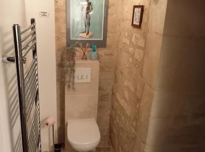 La Tour Du Fauconnier * Doué-la-Fontaine